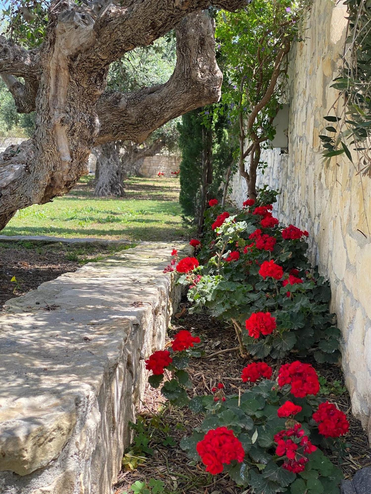 Villa Marmelada Ierapetra  Bagian luar foto