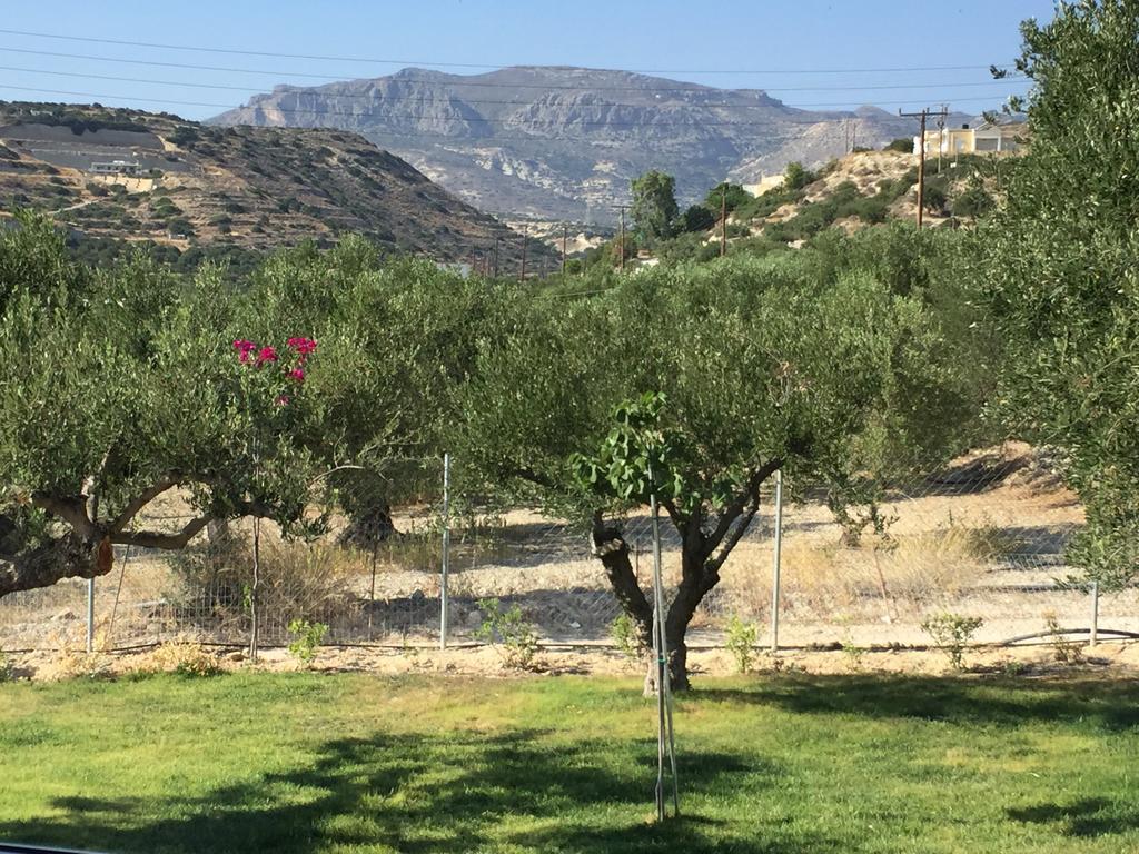 Villa Marmelada Ierapetra  Bagian luar foto